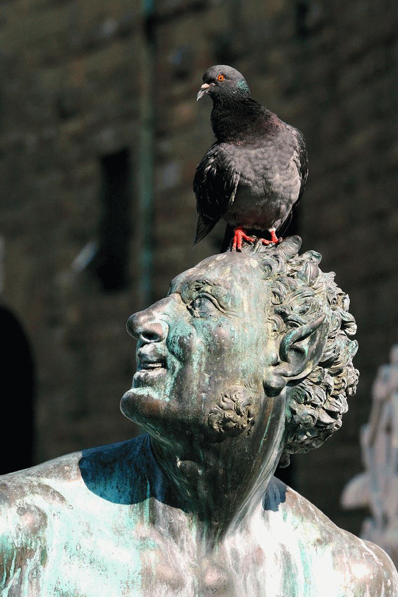 RTW0160  Piazza del Campidoglio